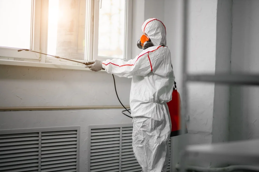 Professional mold remediation services in Russells Point, OH